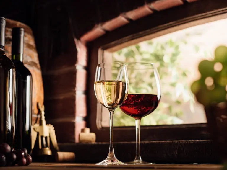 north-georgia-wine-tasting