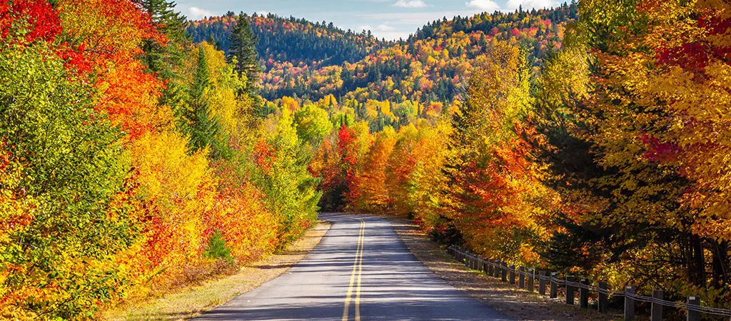 Scenic Drive | Blue Ridge