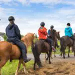 Horse Back riding | Blue Ridge
