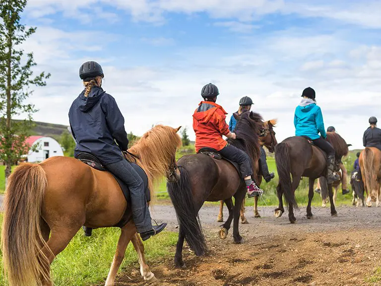 Horse Back riding | Blue Ridge