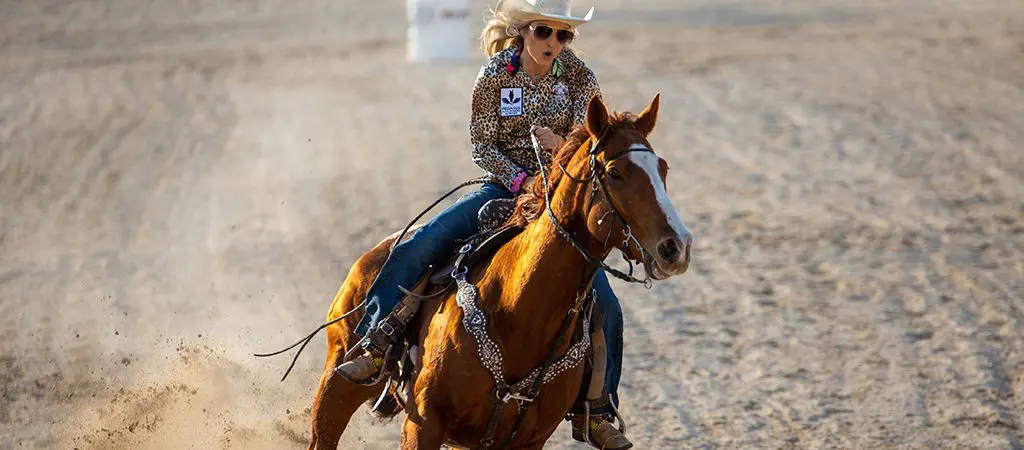 Rodeo | Blue RIdge