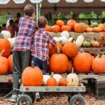 Pumpkin Patch | Blue Ridge | North Georgia