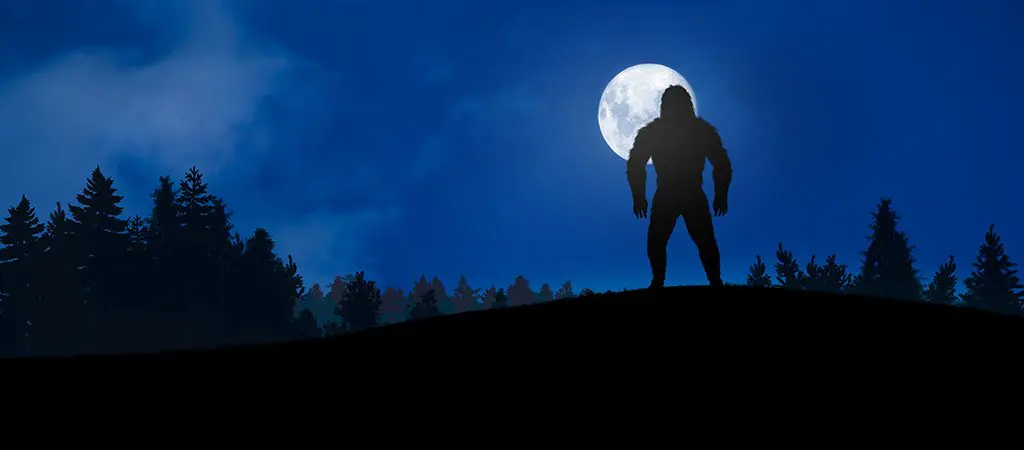 Big Foot | North GA | Blue Ridge