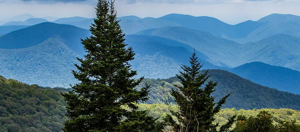 Brasstown Bald | Georgia