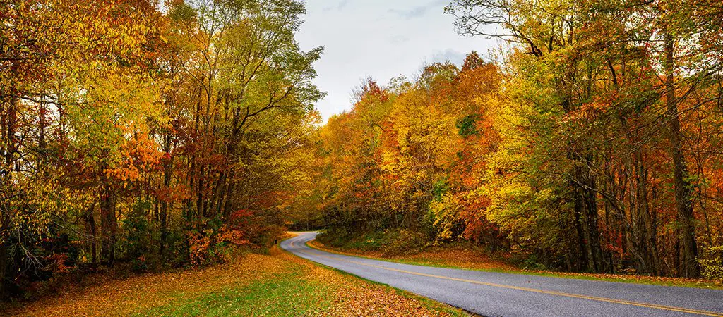 Scenic Drive