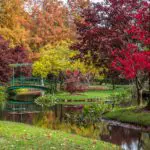 Gibbs Garden | Georgia
