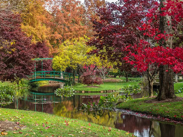 Gibbs Garden | Georgia