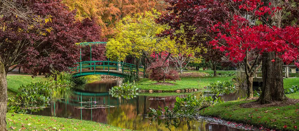 Gibbs Garden | Georgia