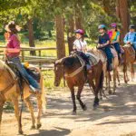 Horse back Riding | Blue Ridge