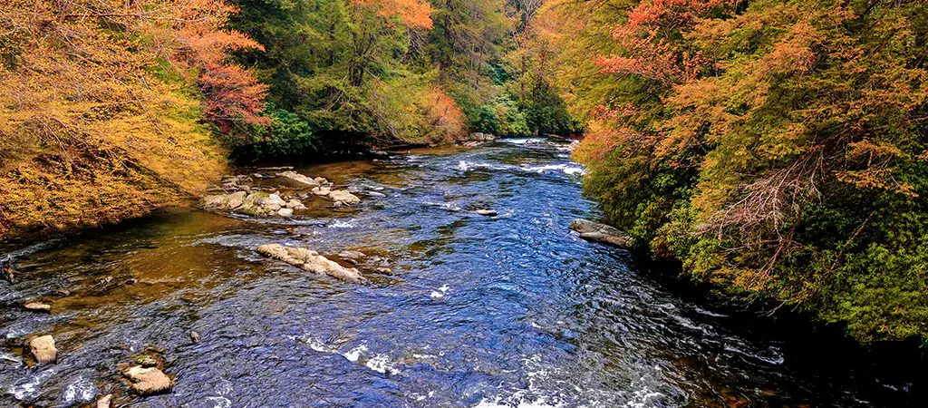 Blue Ridge | Toccoa River