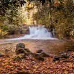 Moccasin Creek Park | North Georgia