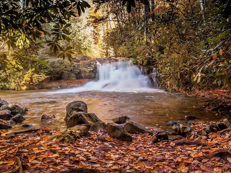 Moccasin Creek Park | North Georgia