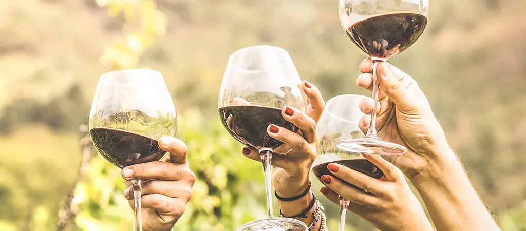 Wine Festivals