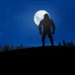 Big Foot | Blue RIdge