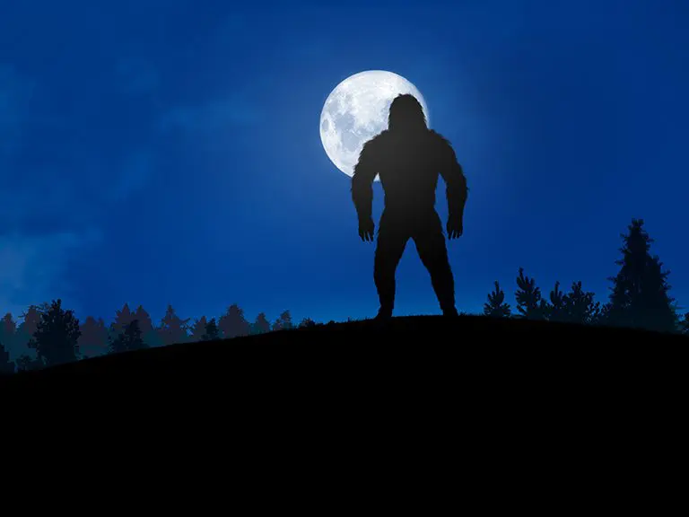 Big Foot | Blue RIdge