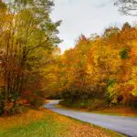 Scenic Drive | Blue Ridge