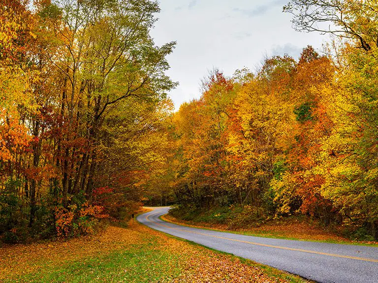 Scenic Drive | Blue Ridge