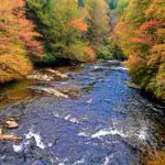 Blue Ridge | Toccoa River