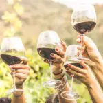 Wine Festivals | Blue Ridge