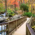 Anna Ruby Falls