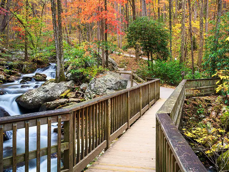 Anna Ruby Falls