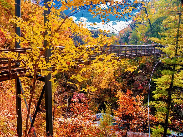 Tallulah Gorge State