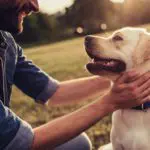 Blue Ridge - Dog park