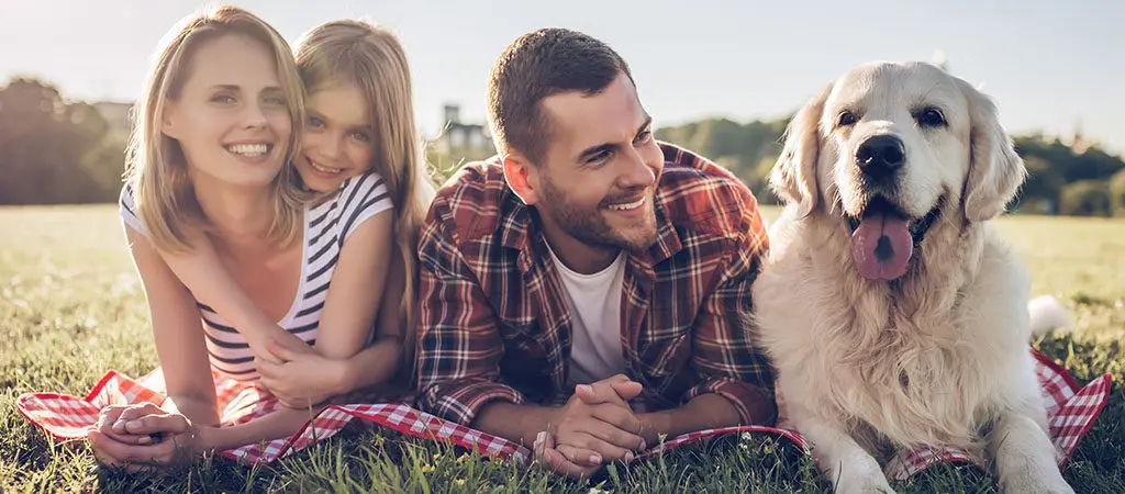 Pet-friendly Cabins