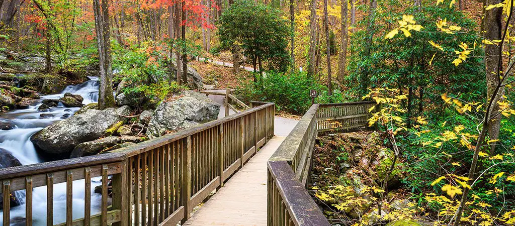 Anna Ruby Falls