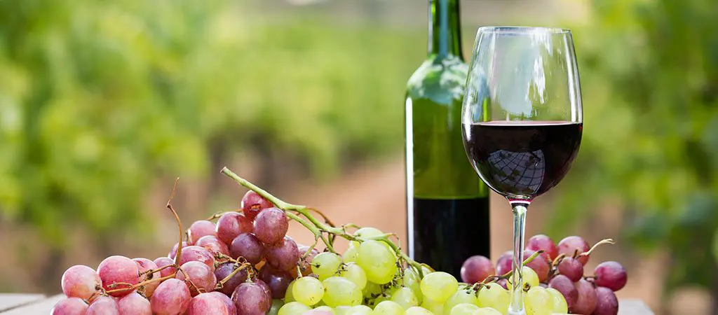 Kaya Vineyard & Winery