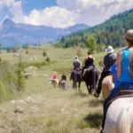 North GA Blogs - Exploring North Georgia's Mountain Towns - Featured