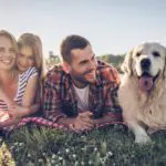 Pet-friendly Cabins