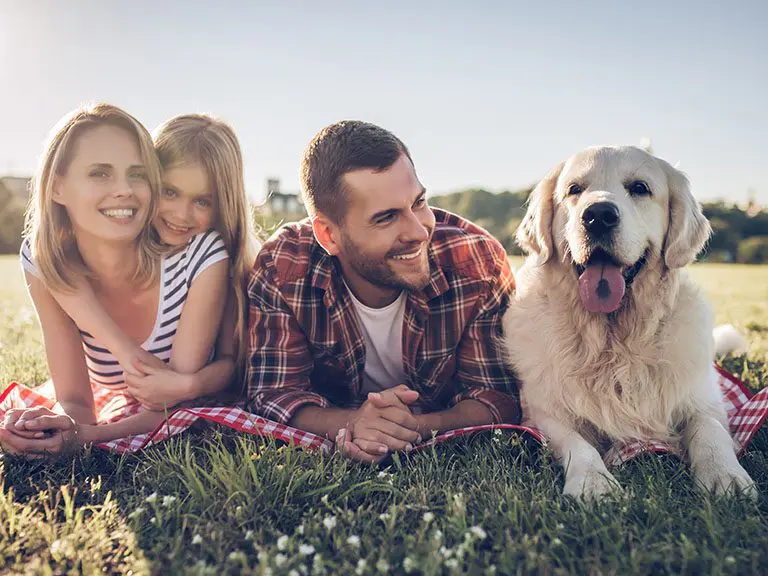 Pet-friendly Cabins