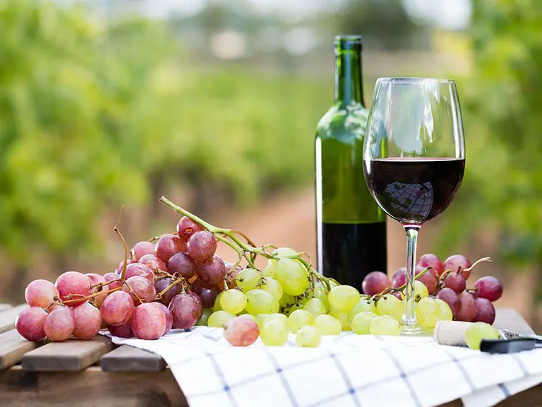 Kaya Vineyard & Winery