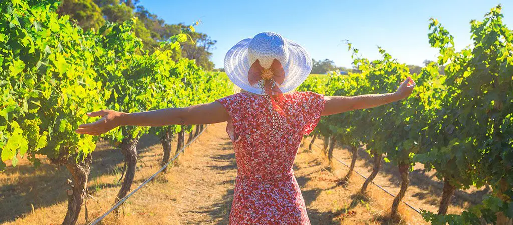 Winery Tour - Blue ridge