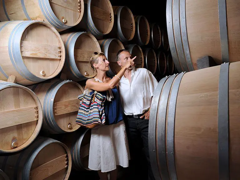 Winery Tours | North GA