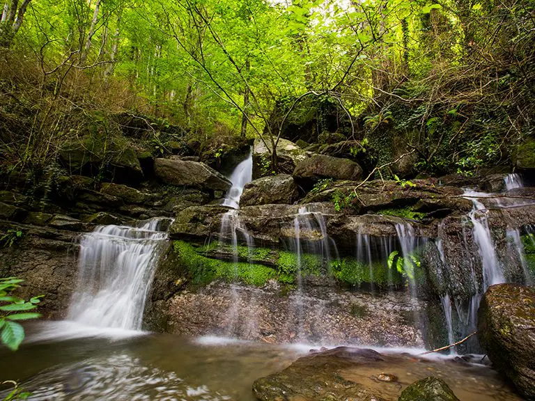 Natural Springs - North GA - Blog