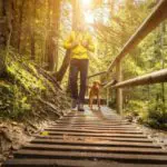 Hiking the Benton Mackaye Trail - Featured Image