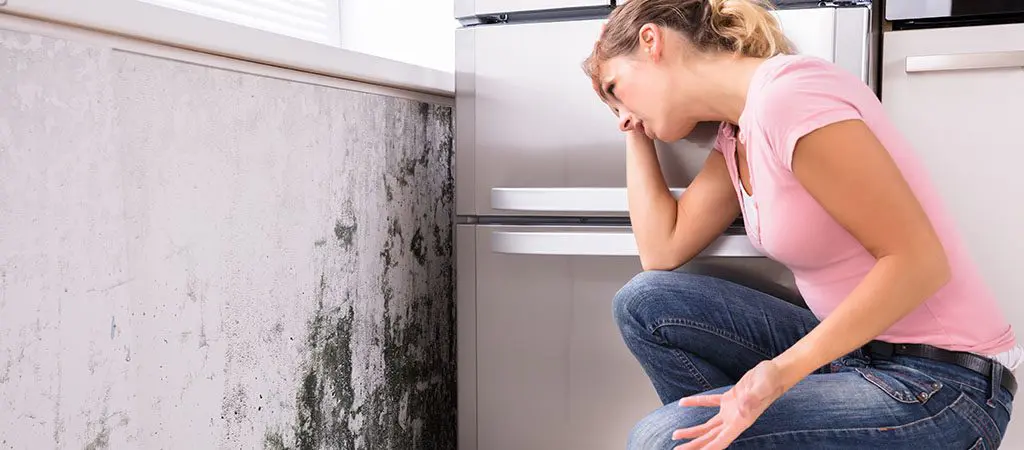 treating-mold-in-your-vacation-rental