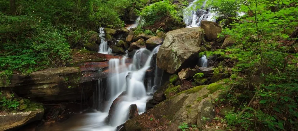 North GA Blog - Benton MacKaye Hiking Trail