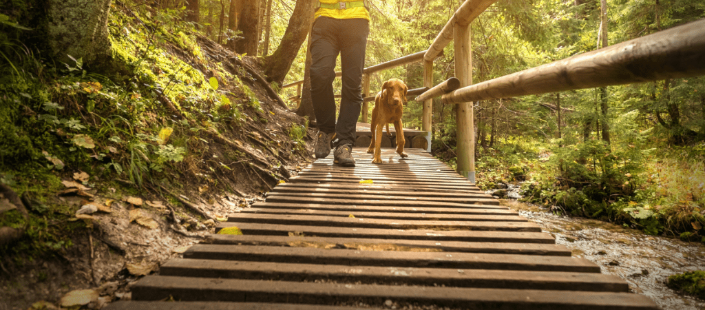 North GA Blog - Benton Mackaye Trail