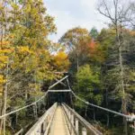 North GA Blog - Cool Places To Visit - Featured