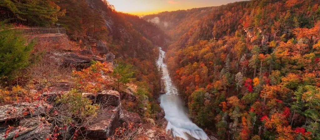 North GA Blog - Cool Places To Visit - Banner