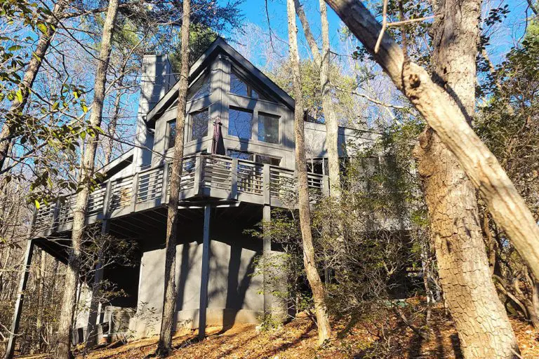 The Tree House