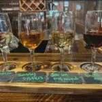 North GA Blogs - Top Things To Do in Ellijay - Featured
