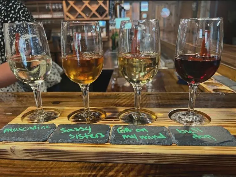 North GA Blogs - Top Things To Do in Ellijay - Featured