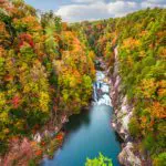 North GA Blogs - Experiencing Fall Colors in North Georgia - Featured