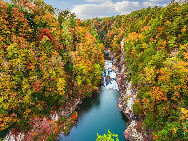 North GA Blogs - Experiencing Fall Colors in North Georgia - Featured