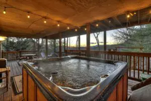 blue-ridge-cabin-talking-leaves-feature