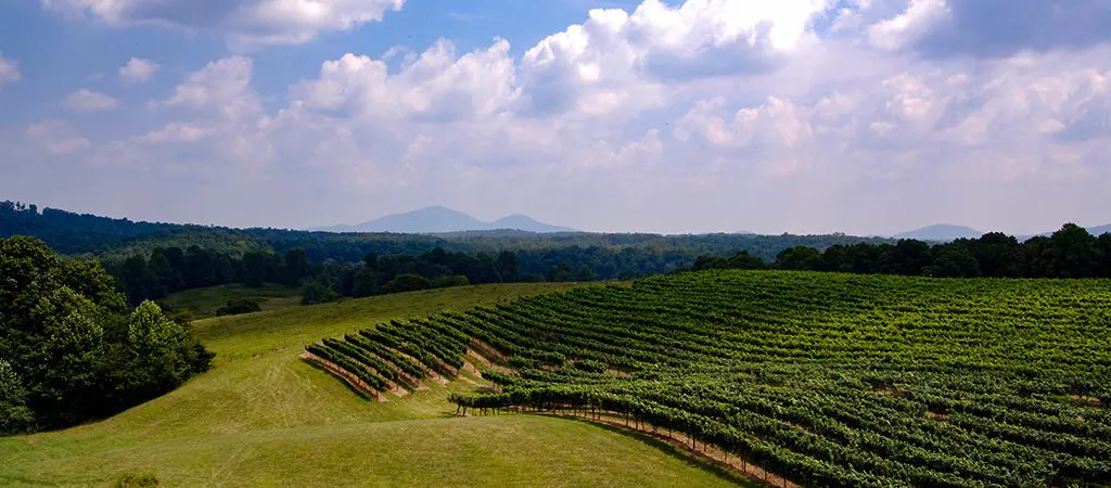 North GA Blogs - Top Things to Do in Dahlonega, Georgia - Banner